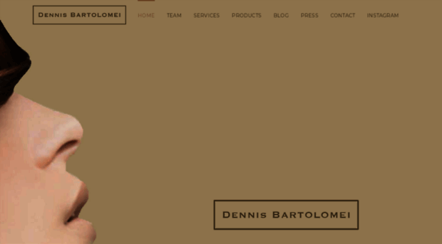 dennisbartolomei.com