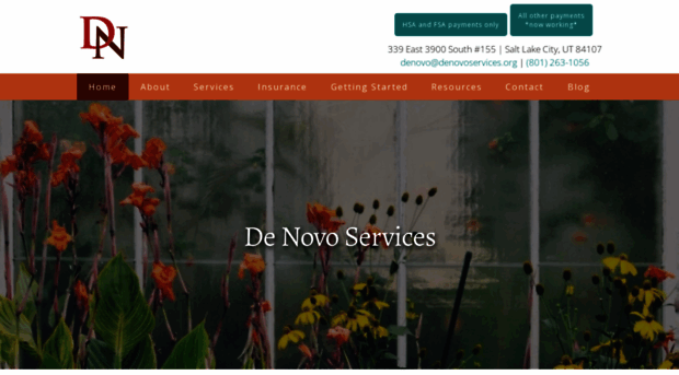 denovoservices.org