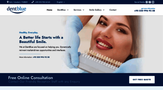 dentblueinternational.com