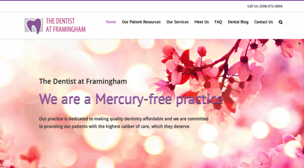 dentistatframingham.com