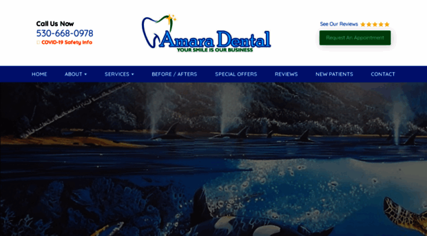 dentistwoodland.com