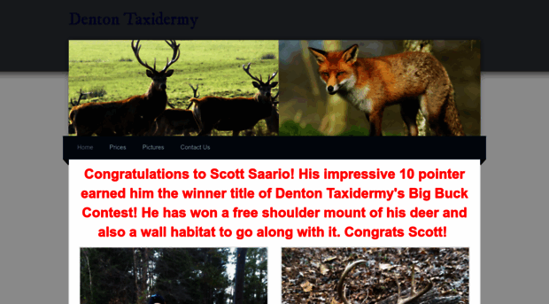 dentontaxidermy.weebly.com