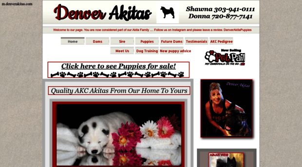 denverakitas.com