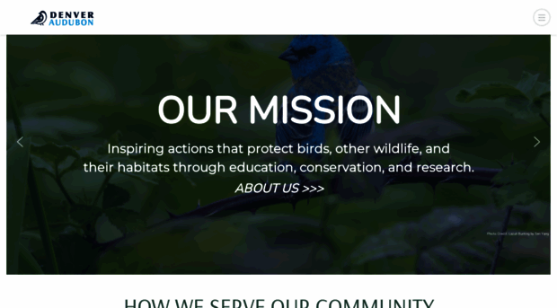 denveraudubon.org