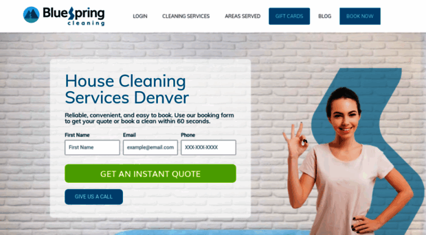 denvermaidpros.com