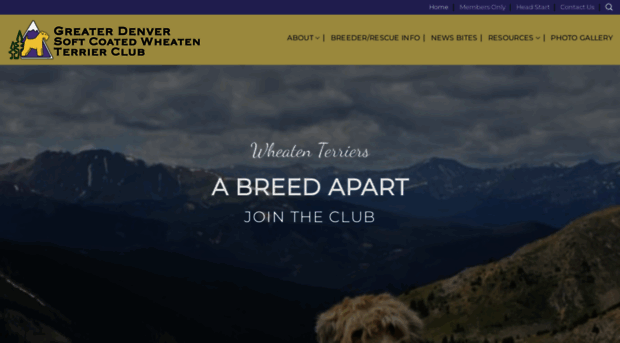 denverwheatenclub.org