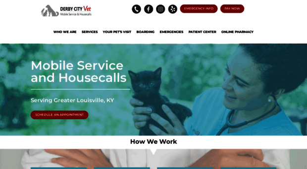 derbycityvet.com