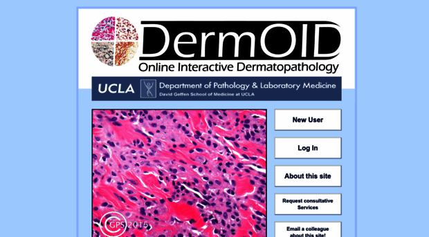 derm-oid.com