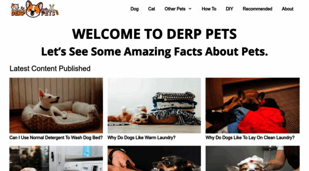 derppets.com