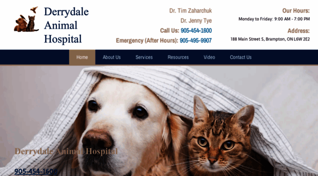 derrydaleanimalhospital.ca