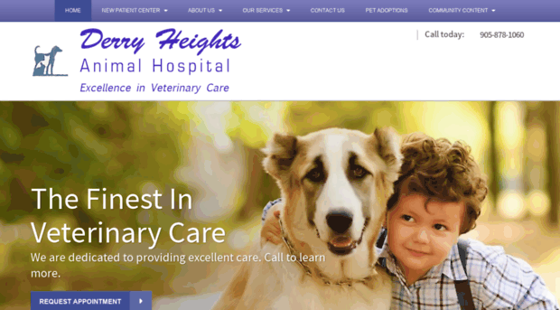 derryheightsanimalhospital.com