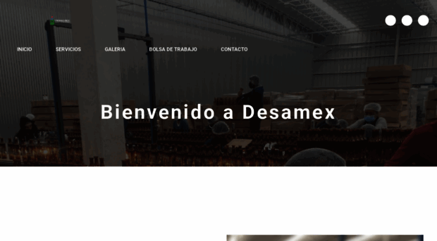 desamex.net