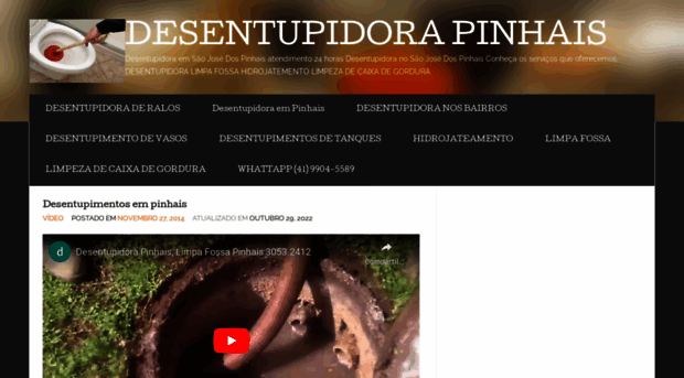 desentupidorapinhais.wordpress.com