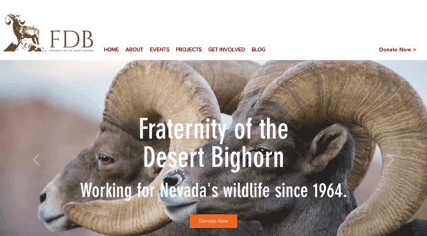 desertbighorn.com