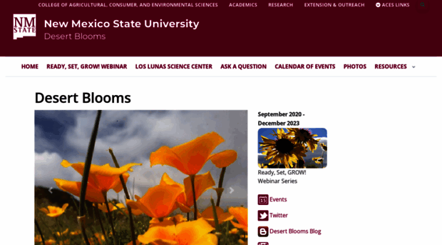 desertblooms.nmsu.edu