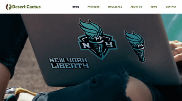 desertcactuscorporate.com