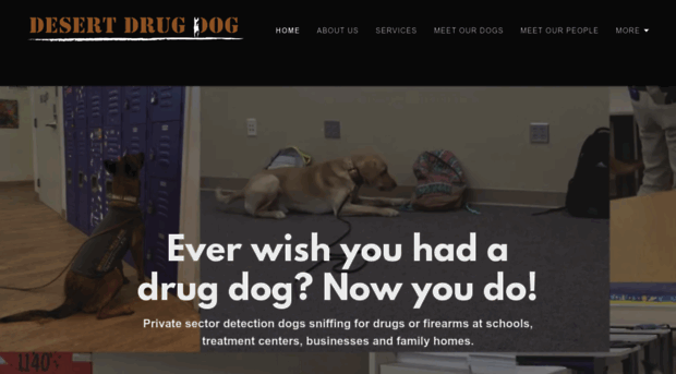 desertdrugdog.com