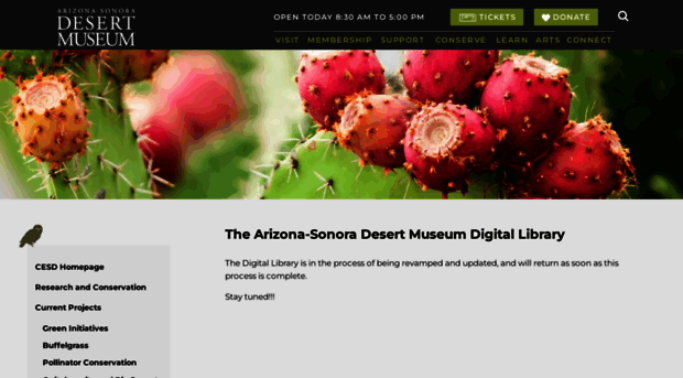 desertmuseumdigitallibrary.org