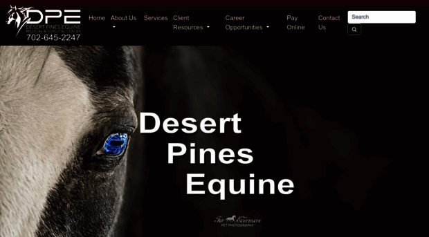 desertpinesequine.com