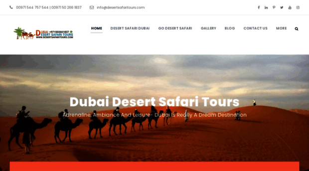 desertsafaritours.com