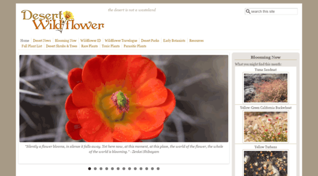 desertwildflower.com