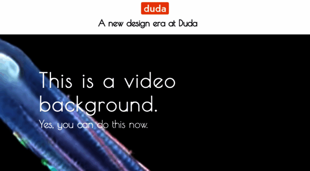 design-d1.dudaone.com