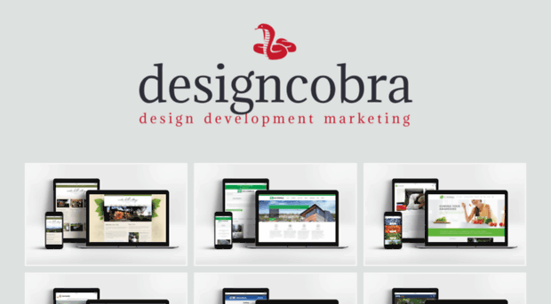 designcobra.com