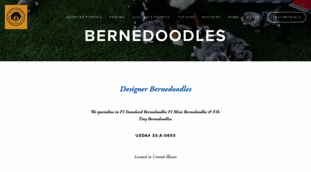 designerbernedoodles.com