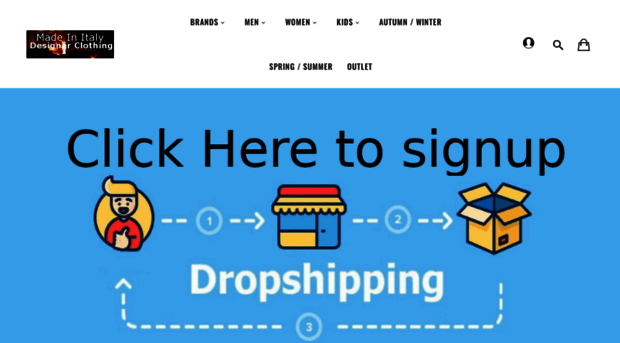 designerdropshipping.com