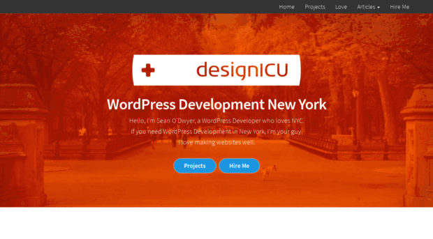 designicu.com