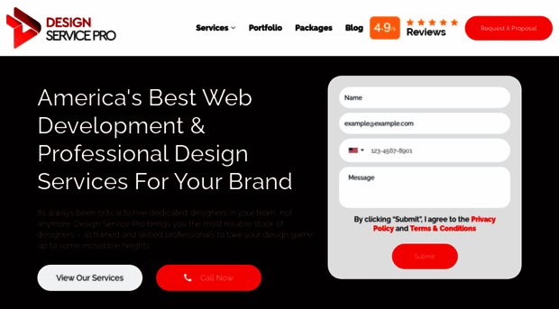 designservicepro.com
