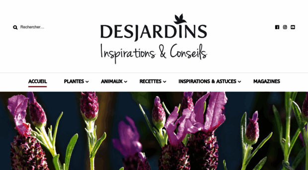 desjardins-inspirations.fr