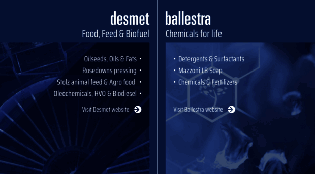 desmetballestra.com