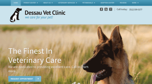 dessauvetclinic.com