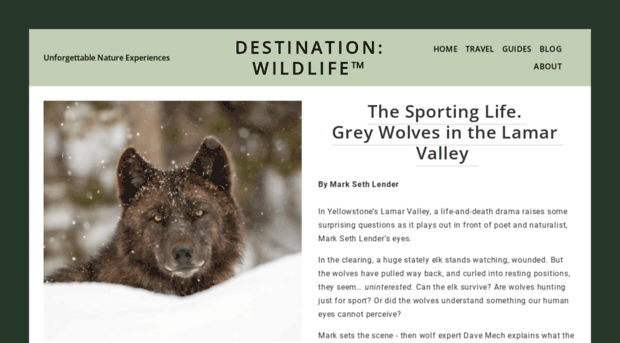 destinationwildlife.com