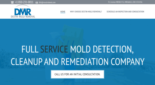 destinmoldremoval.com