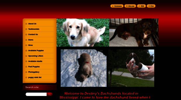 destinys-dachshunds.webnode.com