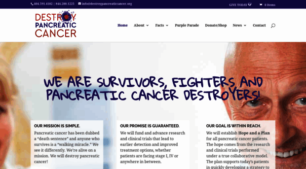 destroypancreaticcancer.org