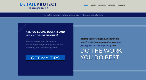 detailprojectmanagement.com