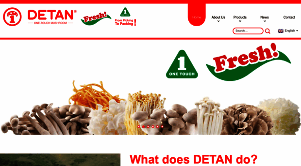 detan-one.com