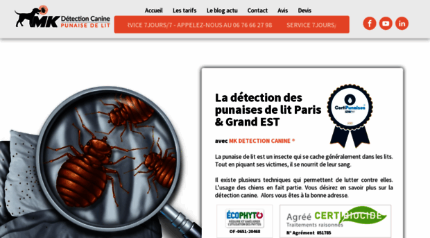 detection-punaise-de-lit.com