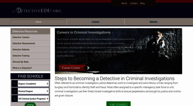 detectiveedu.org