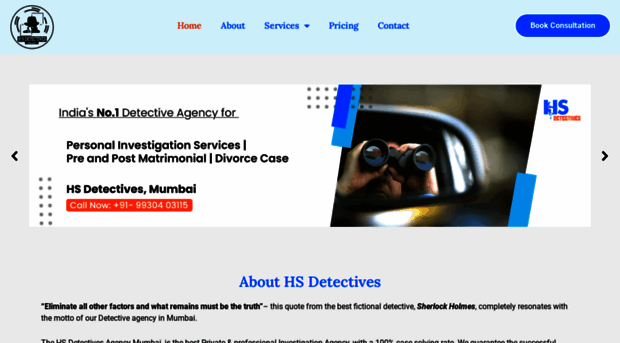 detectivesinmumbai.co.in