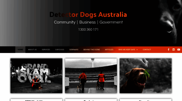 detectordogs.com.au