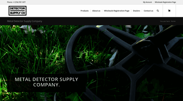 detectorsupply.com