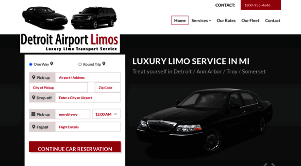 detroitairportlimos.us