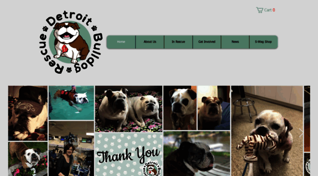 detroitbulldogrescue.org