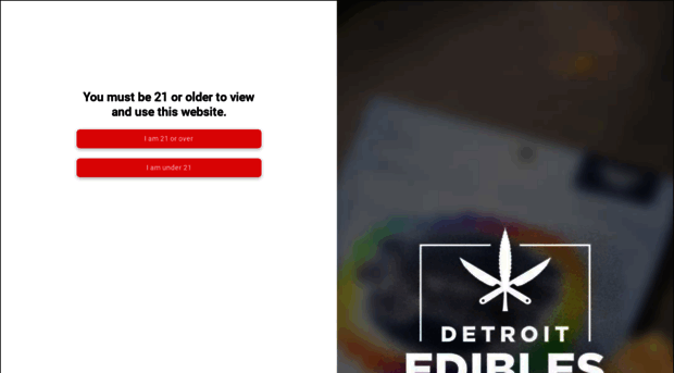 detroitfudge.com