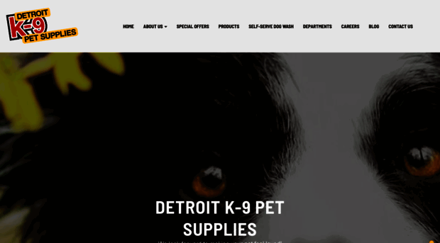 detroitk-9.com