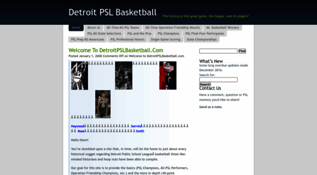 detroitpslbasketball.com